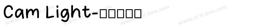 Cam Light字体转换